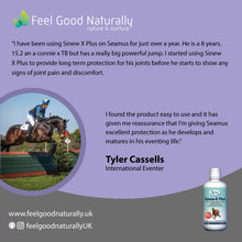 Load image into Gallery viewer, Sinew-X Plus