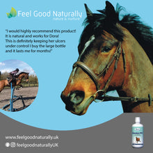 Load image into Gallery viewer, Gastra-FX