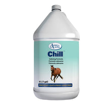 Load image into Gallery viewer, Chill