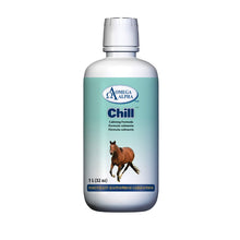 Load image into Gallery viewer, Chill