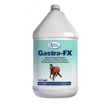Load image into Gallery viewer, Gastra-FX