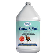Load image into Gallery viewer, Sinew-X Plus